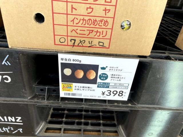 ワセシロ カインズホーム 種芋 じゃがいも