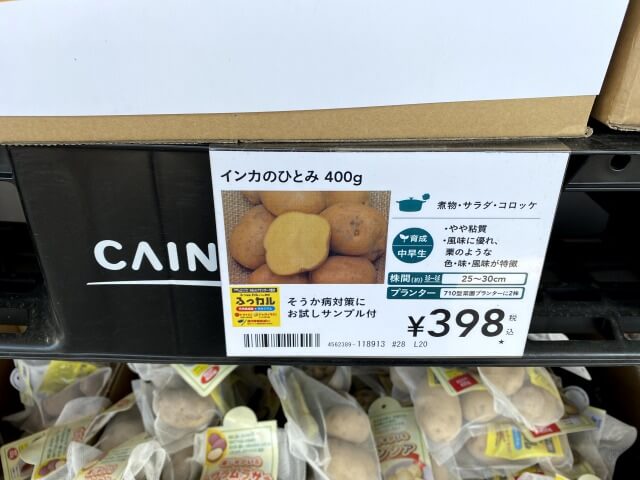 インカのひとみ カインズホーム 種芋 じゃがいも