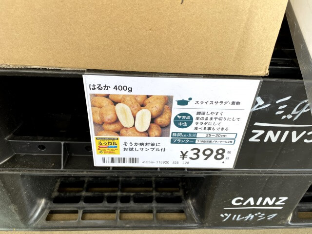 はるか カインズホーム 種芋 じゃがいも