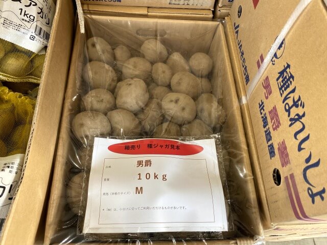 男爵